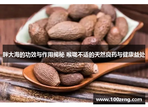 胖大海的功效与作用揭秘 喉咙不适的天然良药与健康益处 胖大海的功效与作用揭秘 喉咙不适的天然良药与健康益处